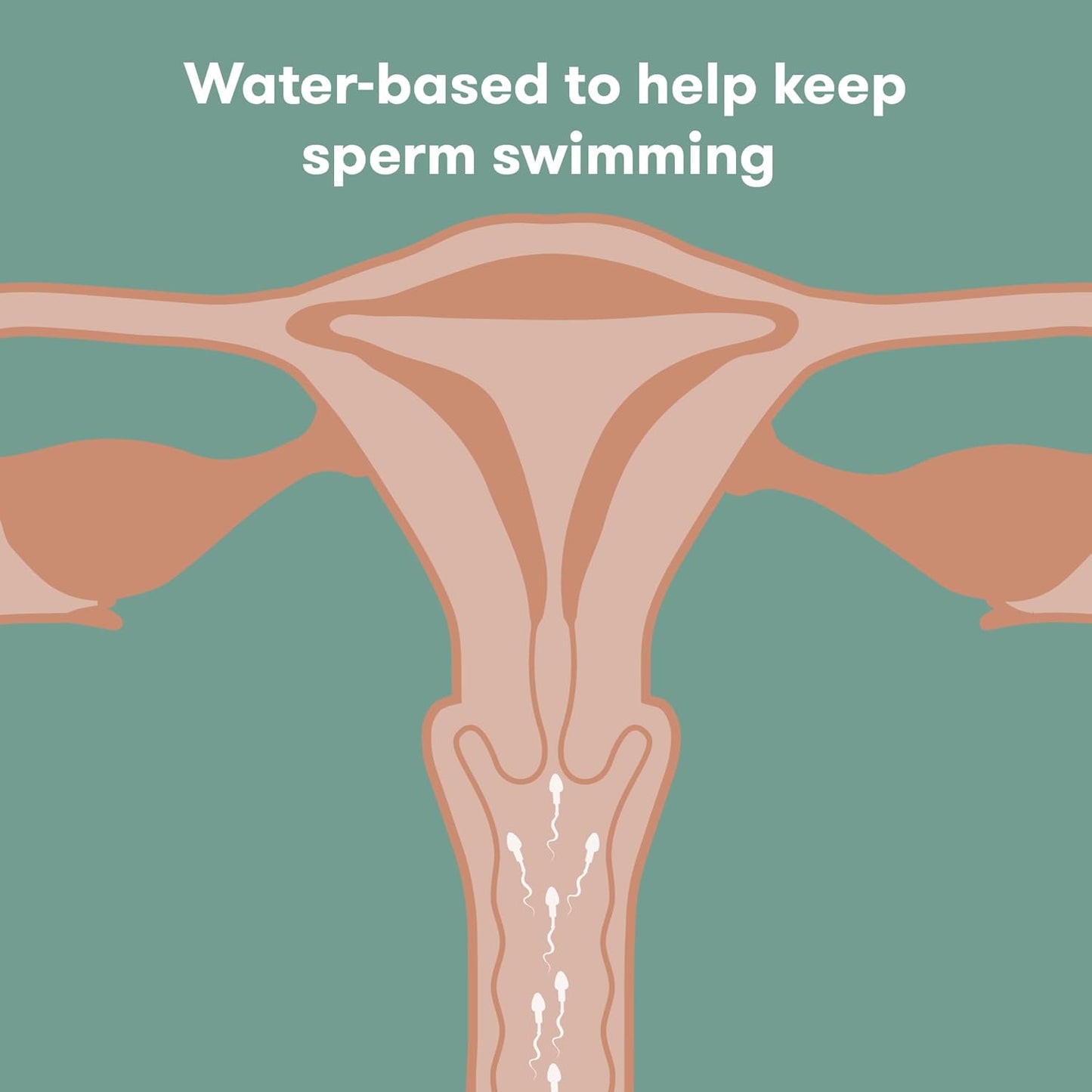 Frida Fertility Lubricant | Conception-Friendly Water-Based Lube | pH & Sperm Safe | Natural Hydration, Non-Sticky | 1.7 Fl Oz