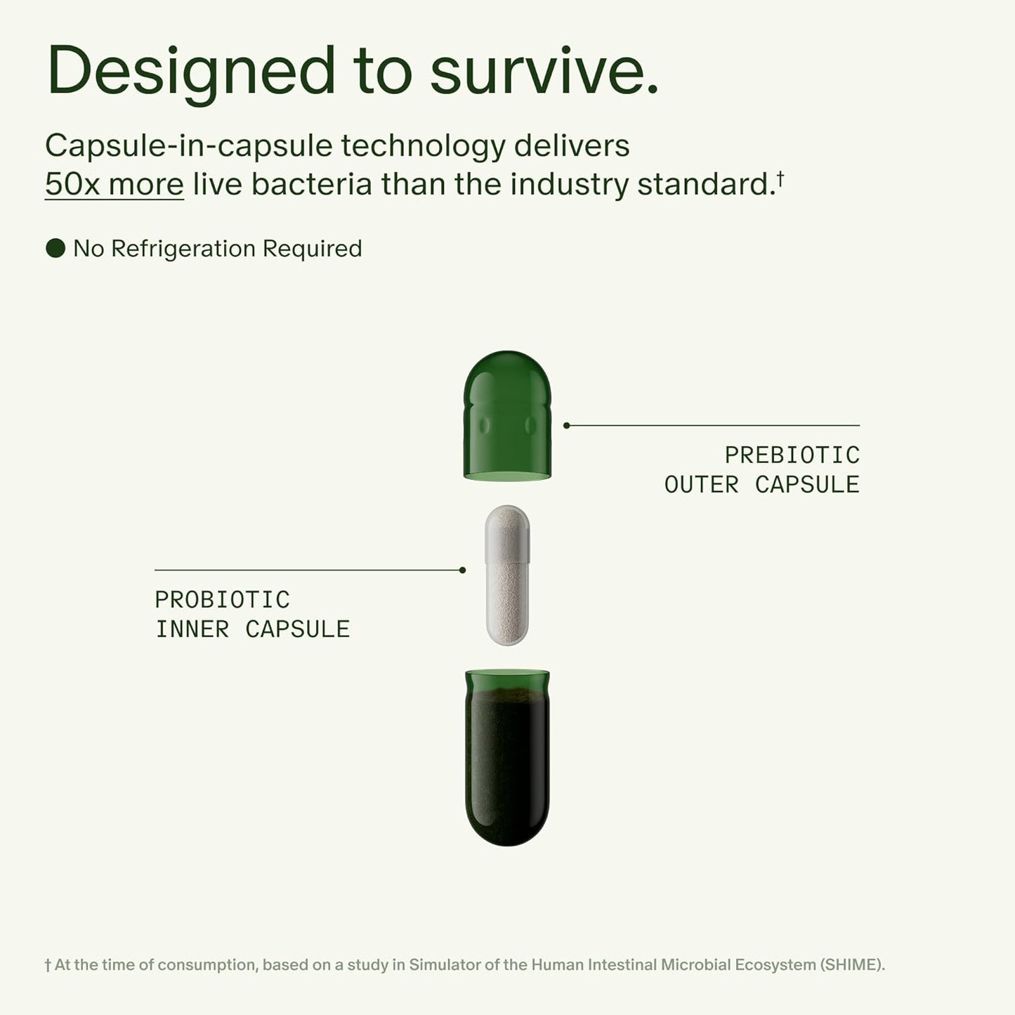 Seed DS-01 Daily Synbiotic | Prebiotic + Probiotic for Digestive, Gut & Immune Health | Bloating & Constipation Relief | Vegan, Shelf-Stable | 60 Capsules