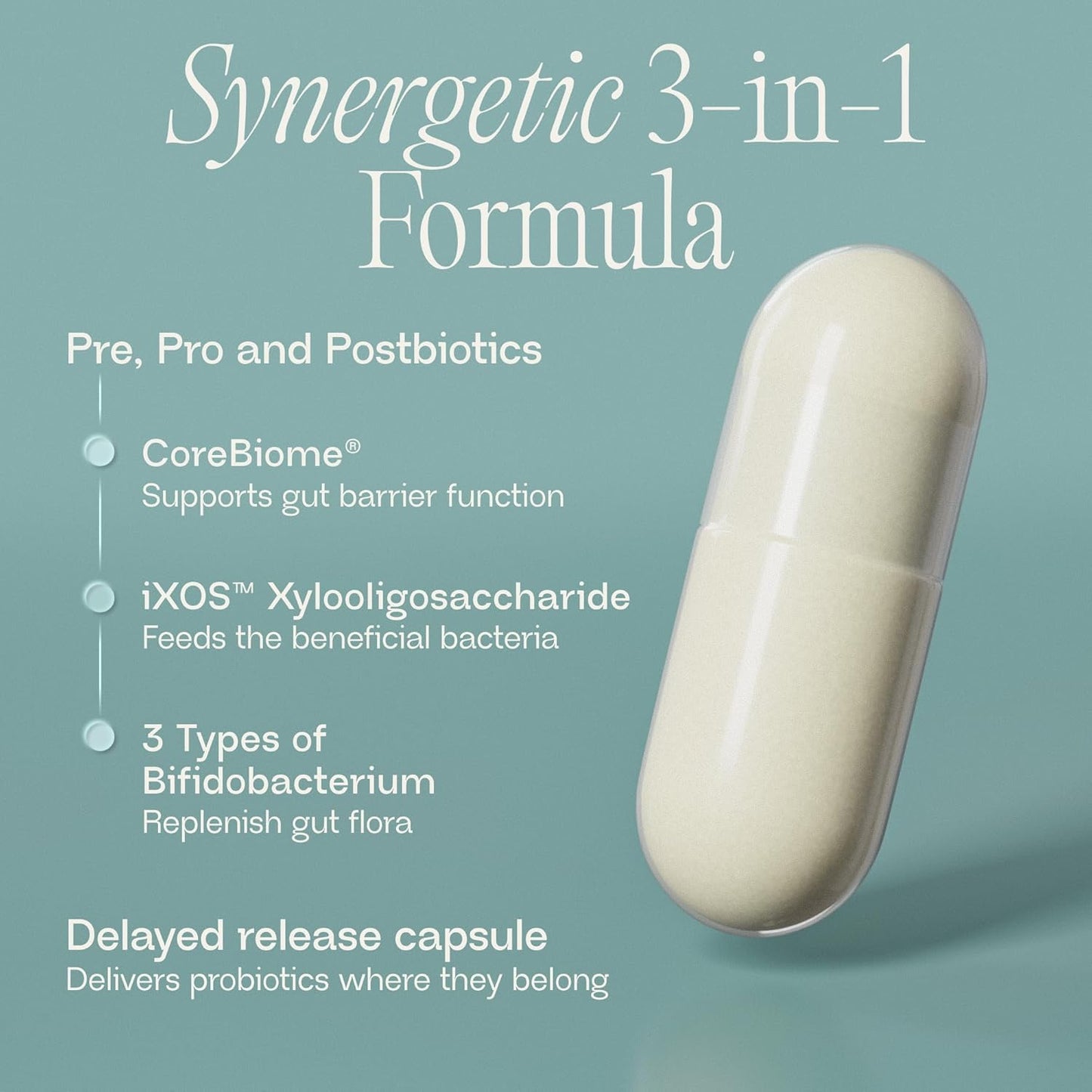 BIOMA Probiotics | Digestive & Gut Health Support for Men & Women | XOS Prebiotics, Tributyrin & Bifidobacterium | Vegan, Gluten-Free | 60 DR Capsules