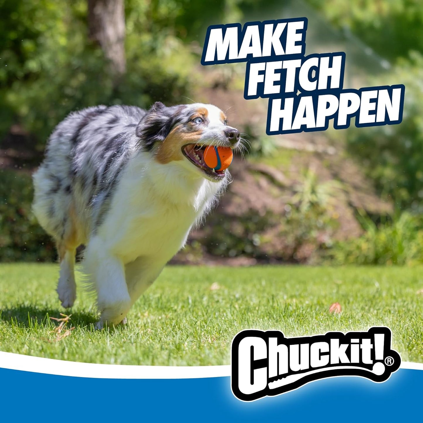 Chuckit! Ultra Ball Dog Toy – Medium (2.5") – Durable, High-Bounce, and Floatable Fetch Ball