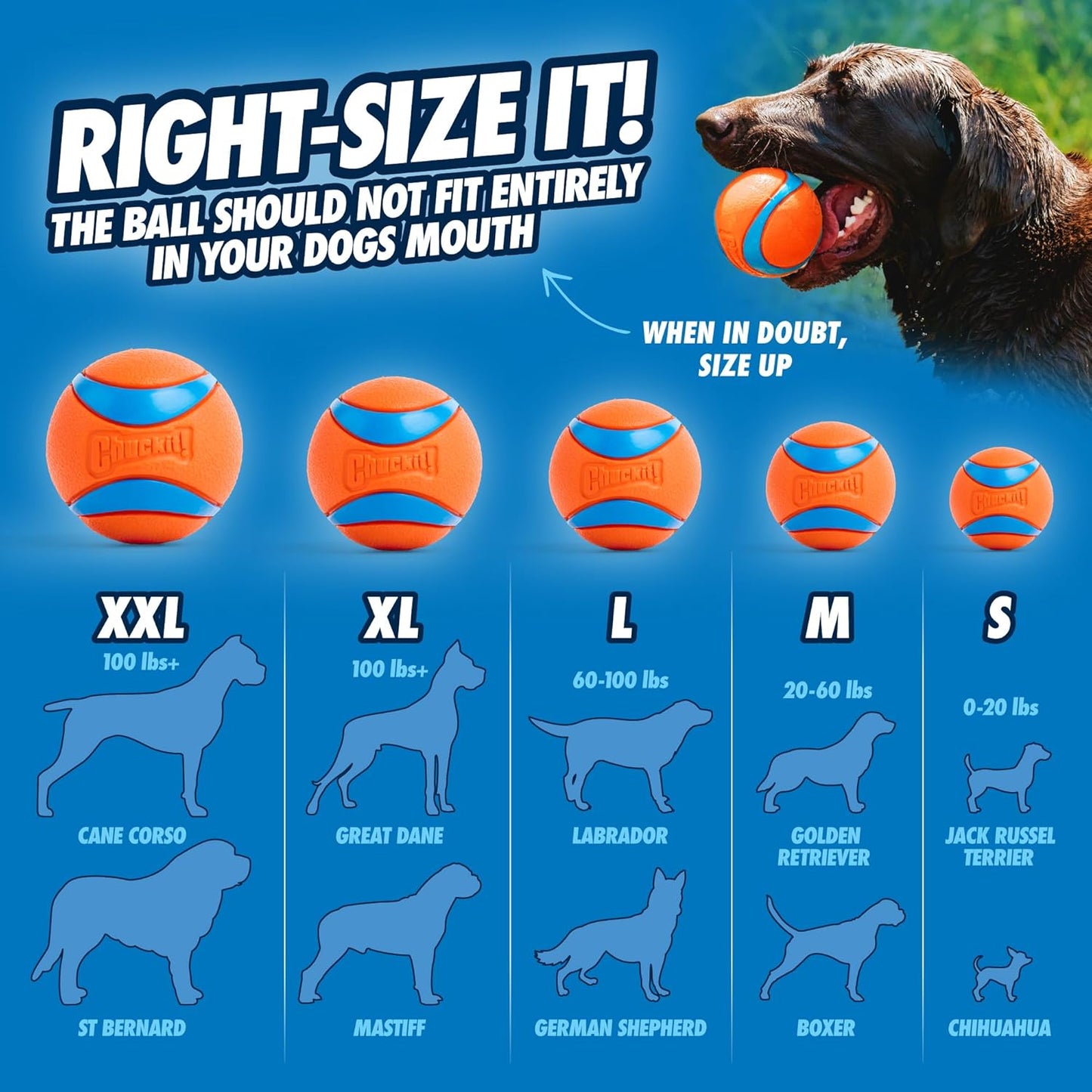 Chuckit! Ultra Ball Dog Toy – Medium (2.5") – Durable, High-Bounce, and Floatable Fetch Ball