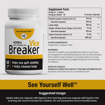 Vice Breaker: Quit Smoking for The Last Time. Works Fast