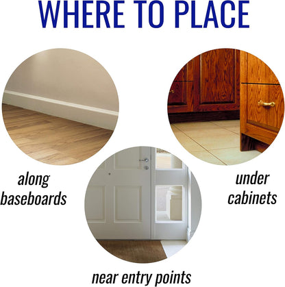 TERRO Liquid Ant Killer – 6 Pre-Filled Bait Stations – Indoor & Outdoor Ant Control