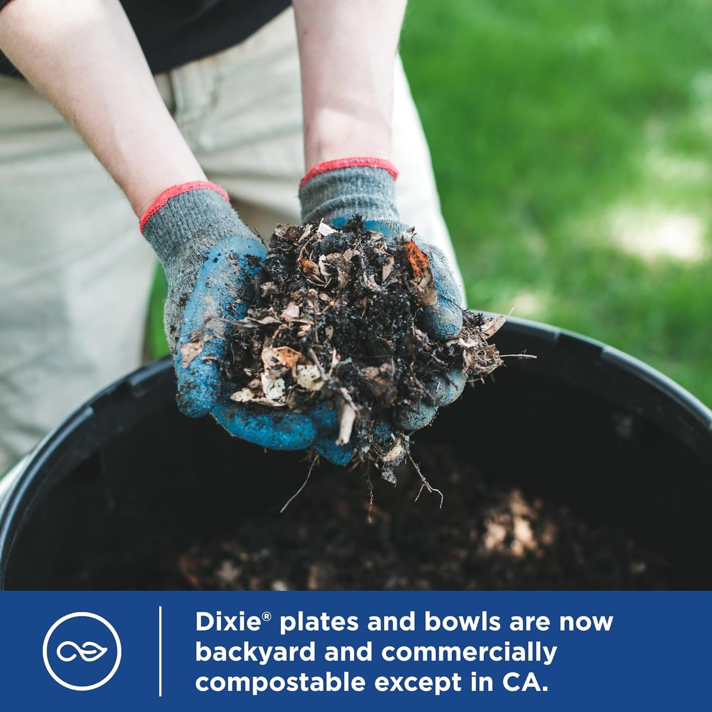 Dixie 10-Inch Large Disposable Paper Plates – 204 Count, 2X Stronger, Microwave-Safe