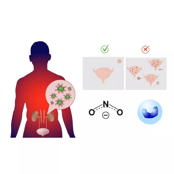 easy@Home Urinary Tract Infection (UTI) Test Strips - 10ct